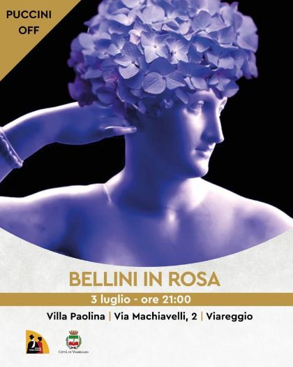 Nel giardino di Villa Paolina - Bellini in rosa Nel giardino di Villa Paolina - Bellini in rosa