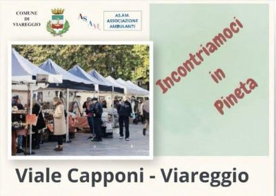 Incontriamoci in pineta